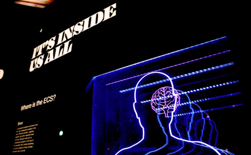 Samsjuklighet Med Autismspektrumet: Vanliga Psykiatriska Tillstånd