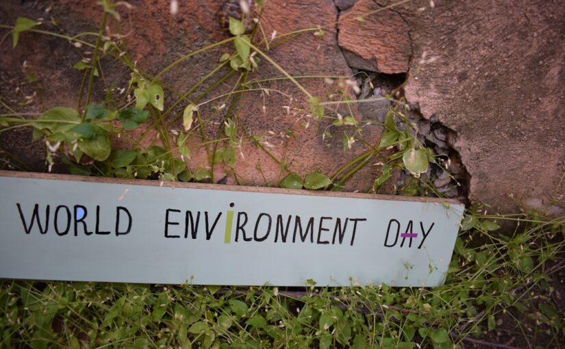 ADHD Environmentálne Toxíny A Vplyvy