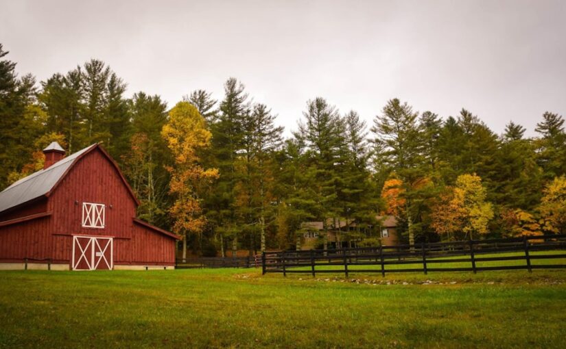 ADHD Hos Barn