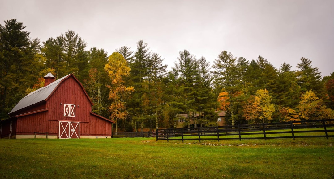 ADHD Hos Barn