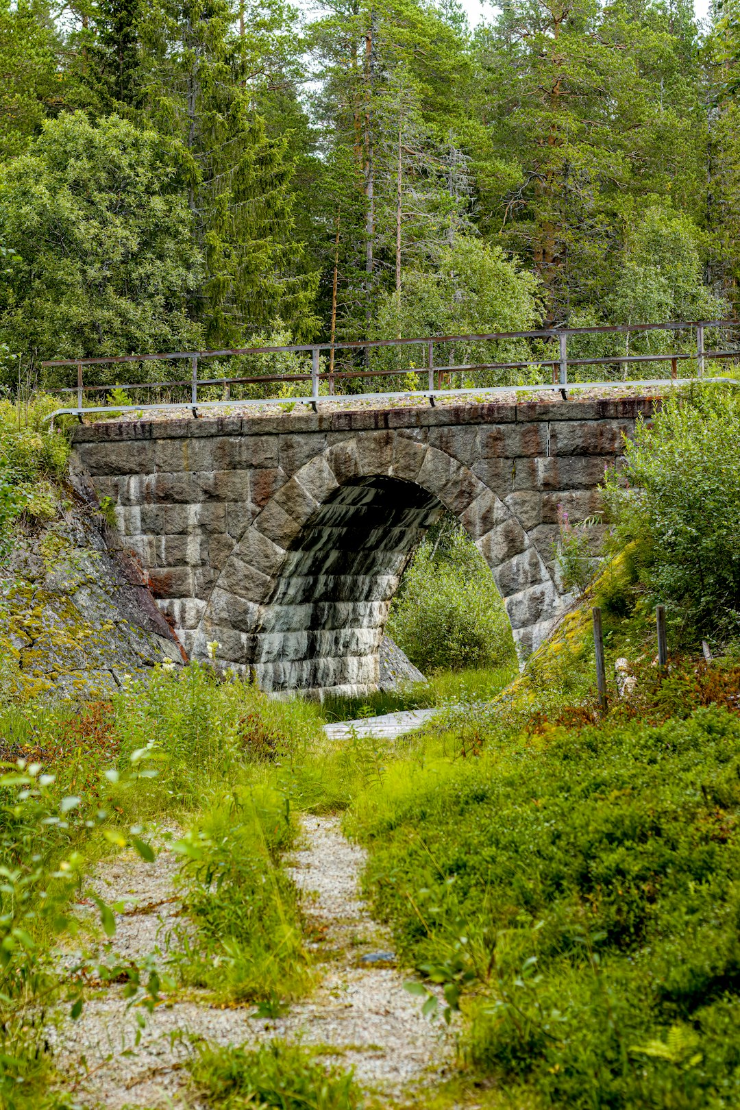 ADHD Liitännäishäiriöt Kognitiiviset Ja Tunneongelmat