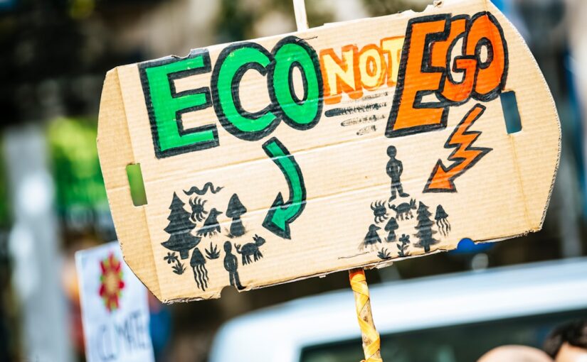 Approche Écosystémique Des Causes Potentielles
