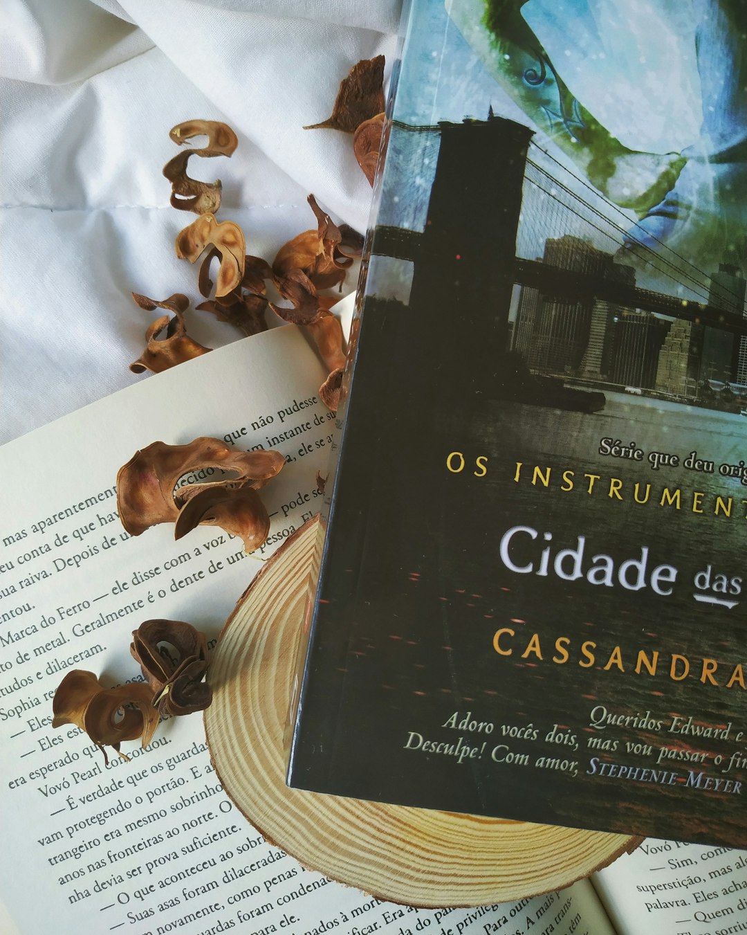 Causas Del TDAH