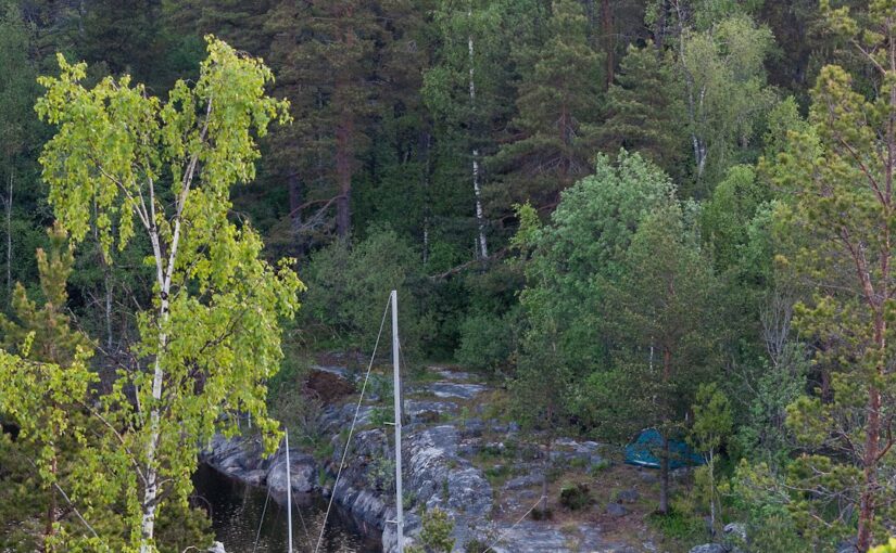 Diagnoosi Aikuisiällä: Erityispiirteet Ja Haasteet