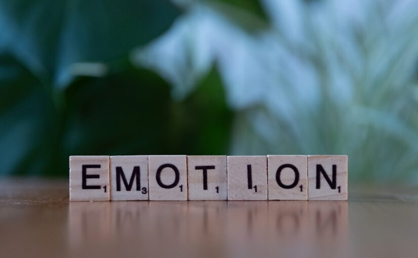 Emocionalna Deregulacija I Autizam