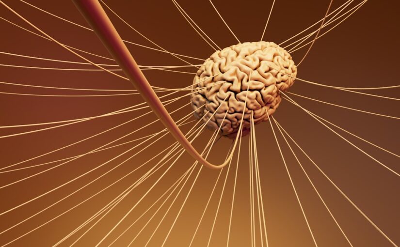 Facteurs De Risque Neurodéveloppementaux Identifiés