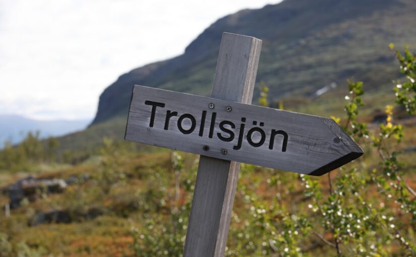 Sosiaalisten Tarinoiden Käyttö Oppimisen Tukena