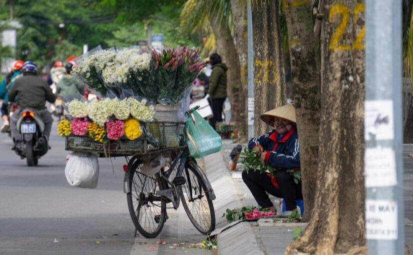 Tác Động Môi Trường Sớm