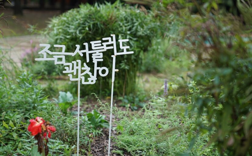 불안장애 동반 시 치료 접근