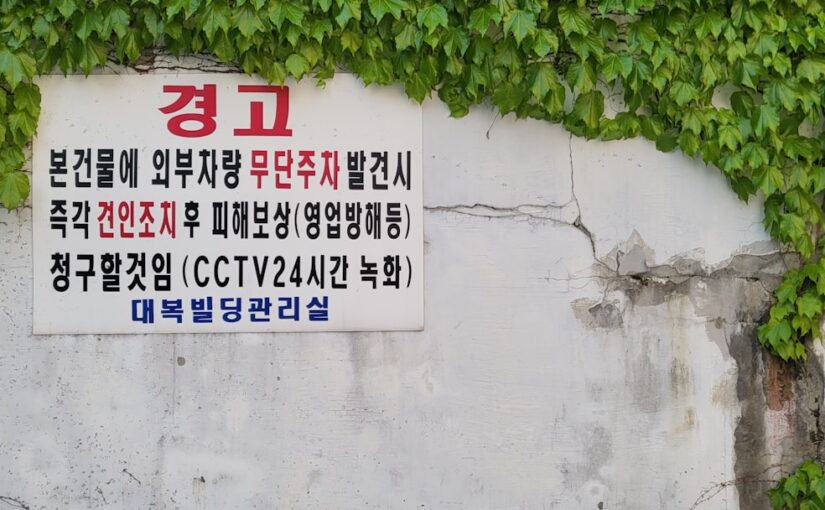 진단시 표준화 검사 결과 해석 방법