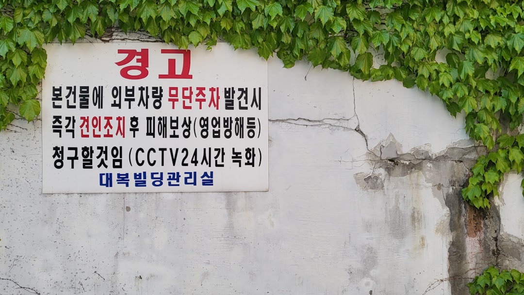 진단시 표준화 검사 결과 해석 방법