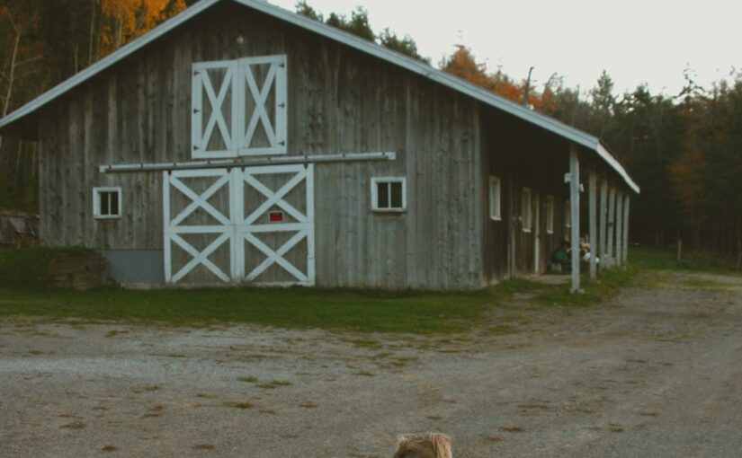 Autism Främja Hälsosamma Sömnvanor Hos Barn