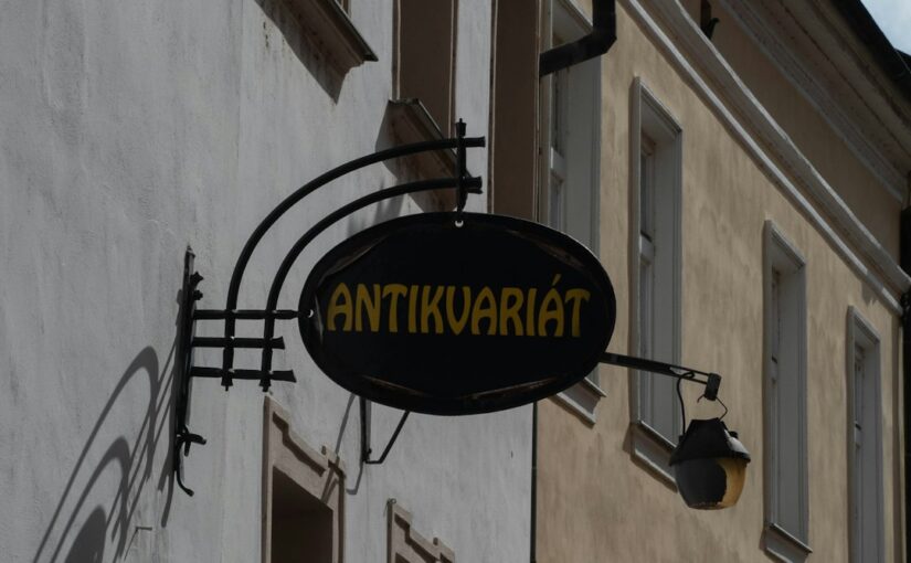 Autizam I Intelektualna Ograničenja