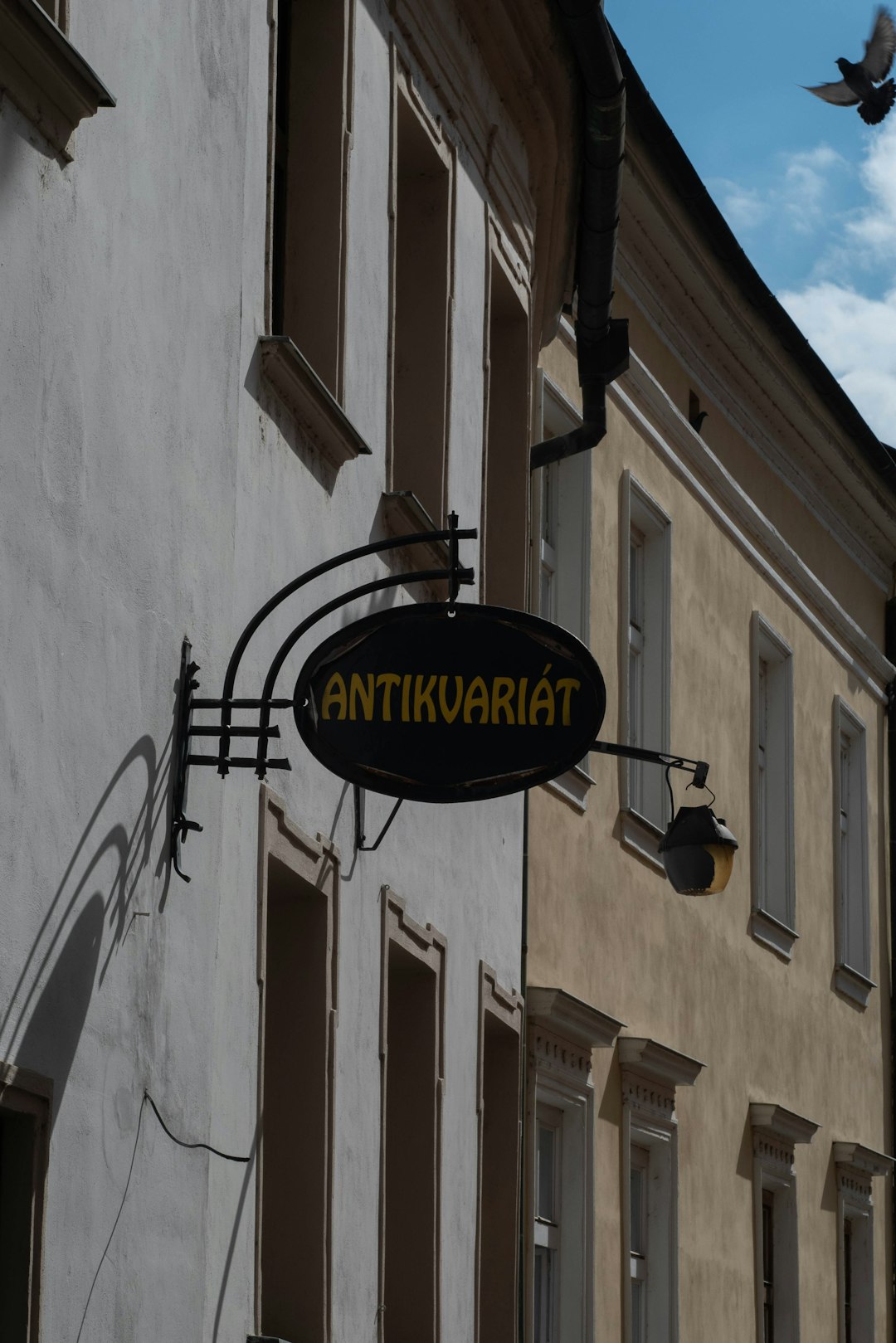 Autizam I Intelektualna Ograničenja