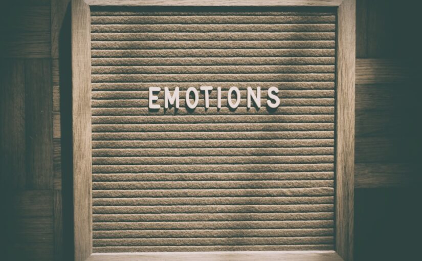 Emotionel Regulering Hos Autistiske Voksne