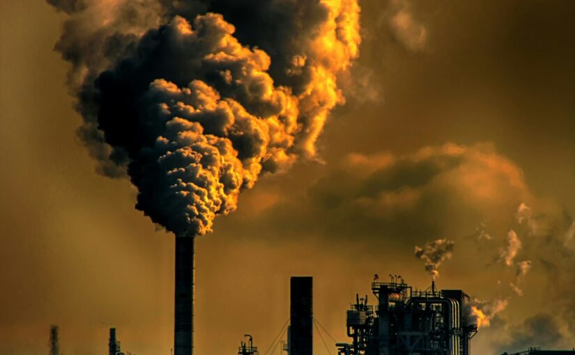 Environmental Toxins And ADHD Risk