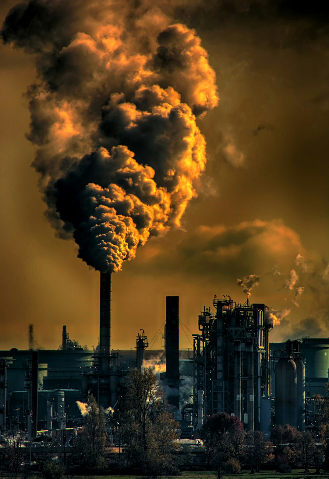 Environmental Toxins And ADHD Risk