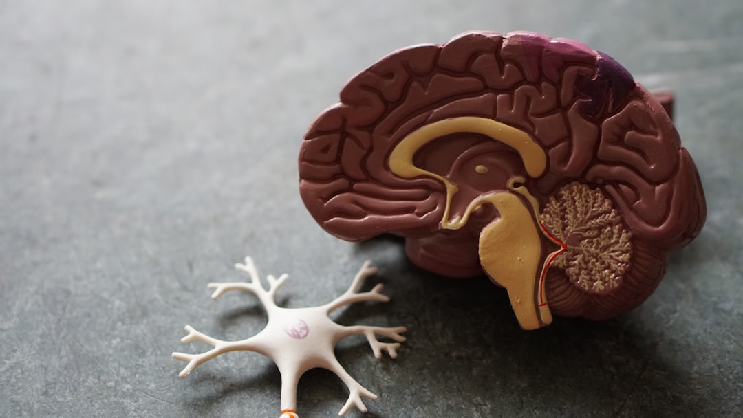 Epilepsi Dan Evaluasi Neurologis Pada Autisme