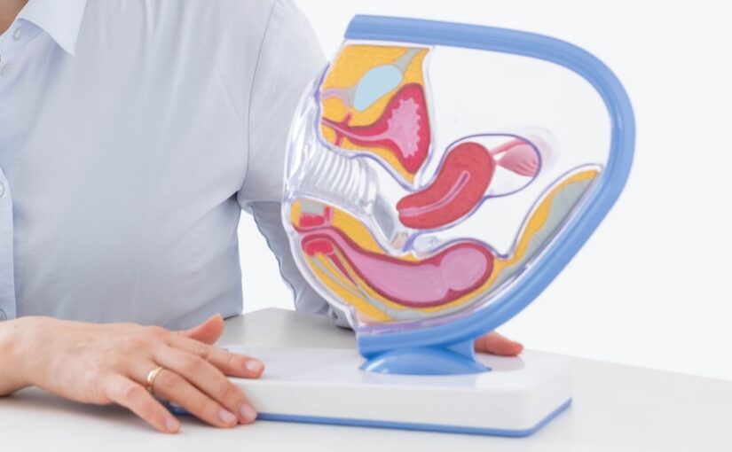 Hormone Und Geschlechtsspezifische Effekte