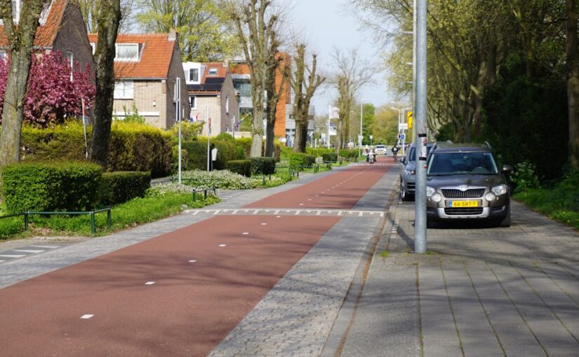 Huiselijke Omgeving Optimaliseren Op Basis RAADS-R