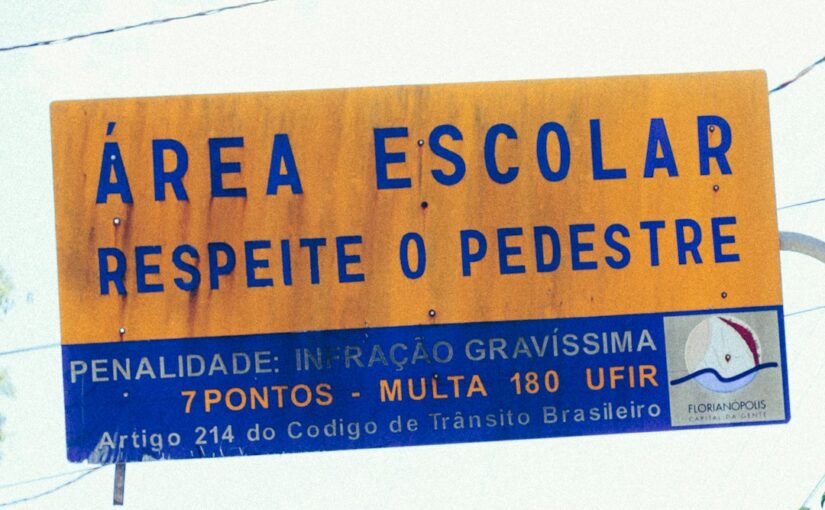 Impacto Do Estresse Precoce Nos Pontos Do RAADS-R
