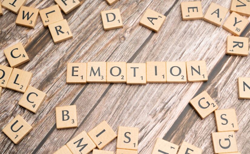 Inestabilidad Emocional Y Sensibilidad Social