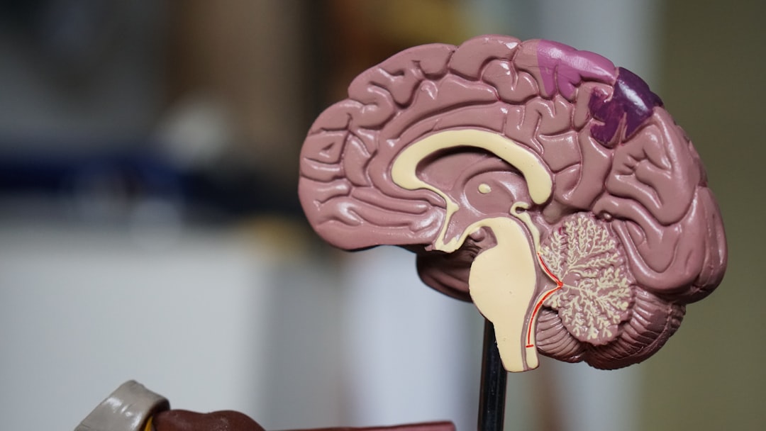 Klinische Kriterien Für Autismus Diagnosen