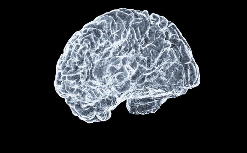 Papel De La Nutrición En Desarrollo Cerebral