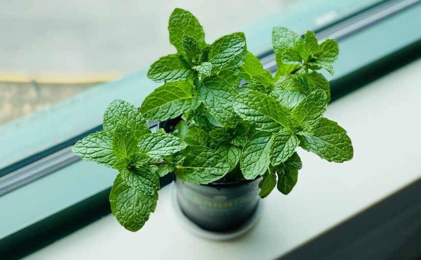 RAADS-R Alvászavarok Mint Komorbid Tényezők