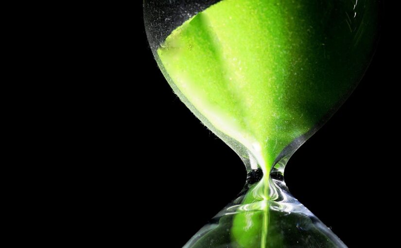 RAADS-R Neurodevelopmental Timing Hypotheses Explained