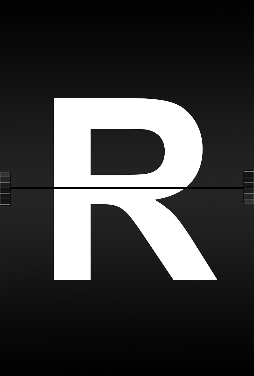 RAADS-R 검사 점수 활용을 위한 사례