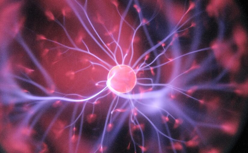 Ruolo Delle Connessioni Neuronali Nell'Autismo