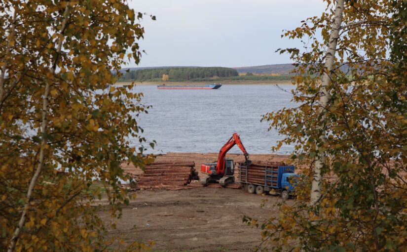 Siirtymien Harjoittelu Ja Ennakoitavuuden Rakentaminen