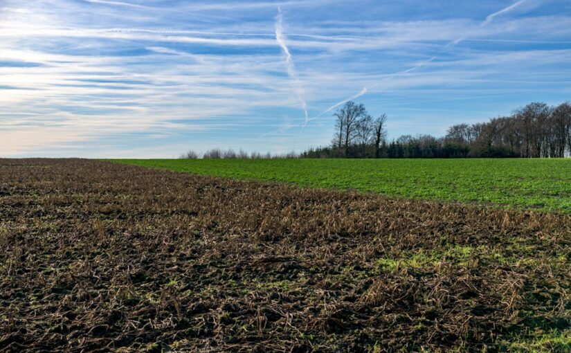 Temperament Und Biologische Prädisposition