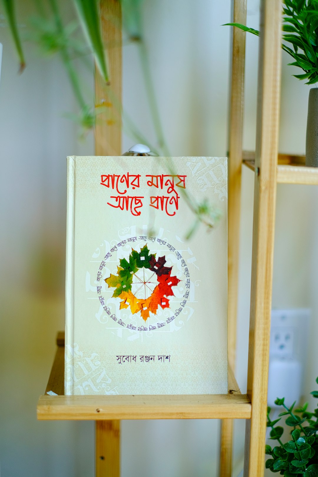 অটিজমে স্বাস্থ্যকর রুটিনের জন্য খাদ্য ও ব্যায়াম পরামর্শ