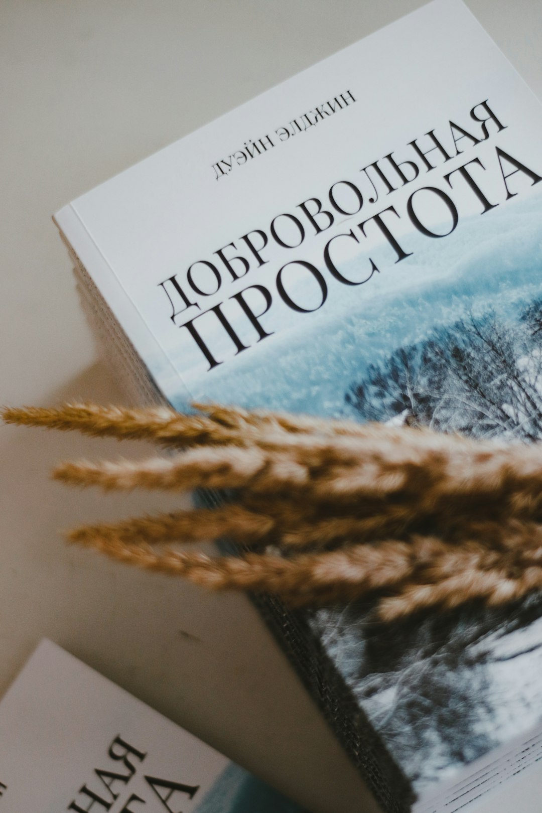 Неврологічні Прояви СДУГ