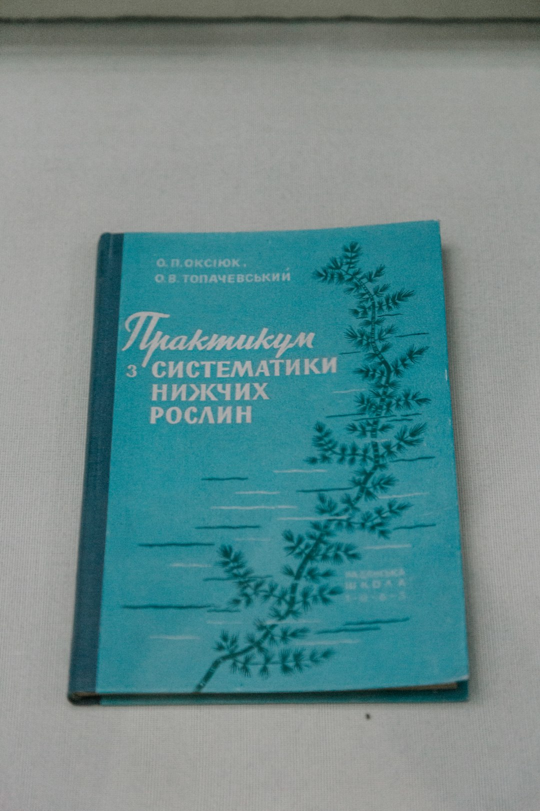 Тревожность Как Сопутствующий Симптом СДВГ