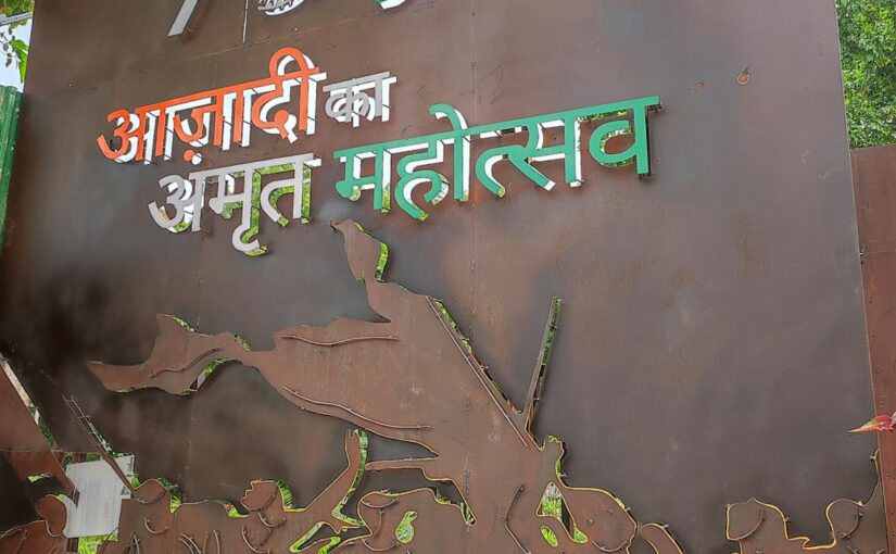ऑटिज़्म वयस्कों में सह-रुग्णता का प्रबंधन
