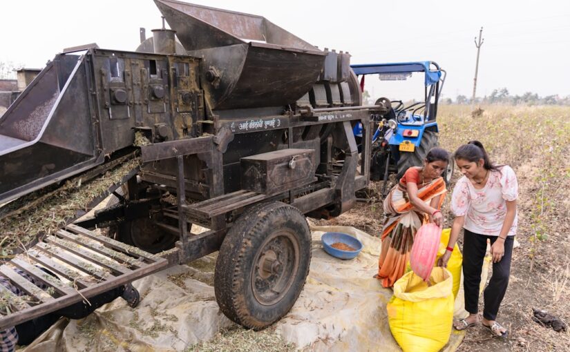 सामाजिक आर्थिक कारकों का योगदान