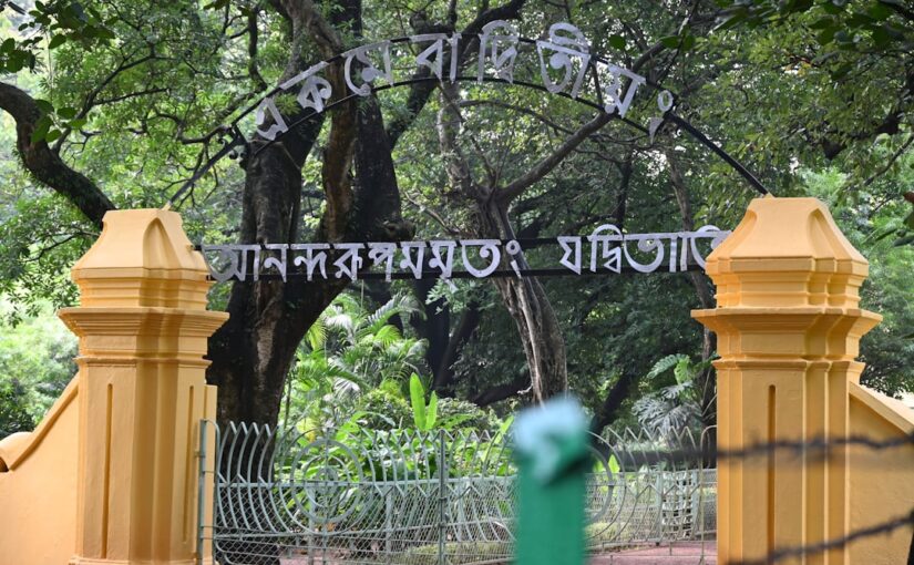 অটিজমের জটিল প্রকৃতি ও বহুতত্ত্বীয় সমাধান