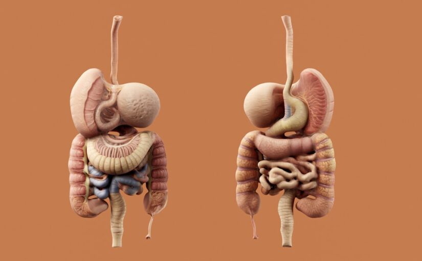 Autizam I Gastrointestinalni Problemi Komorbiditeti