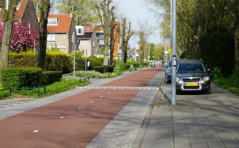 Behandeling Bij Co-Occurrerende Stoornissen