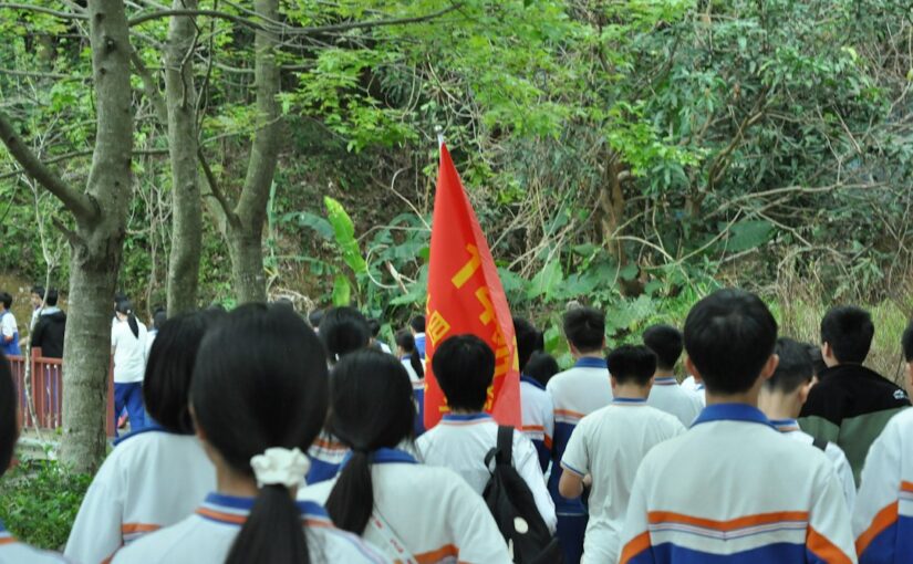 Chiến Lược Tổ Chức Cá Nhân