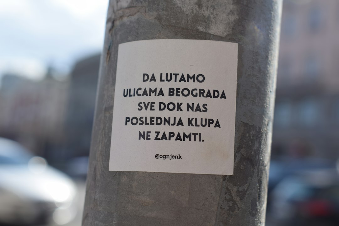 Dugoročni Utjecaji Rana Iskustava Na Autizam