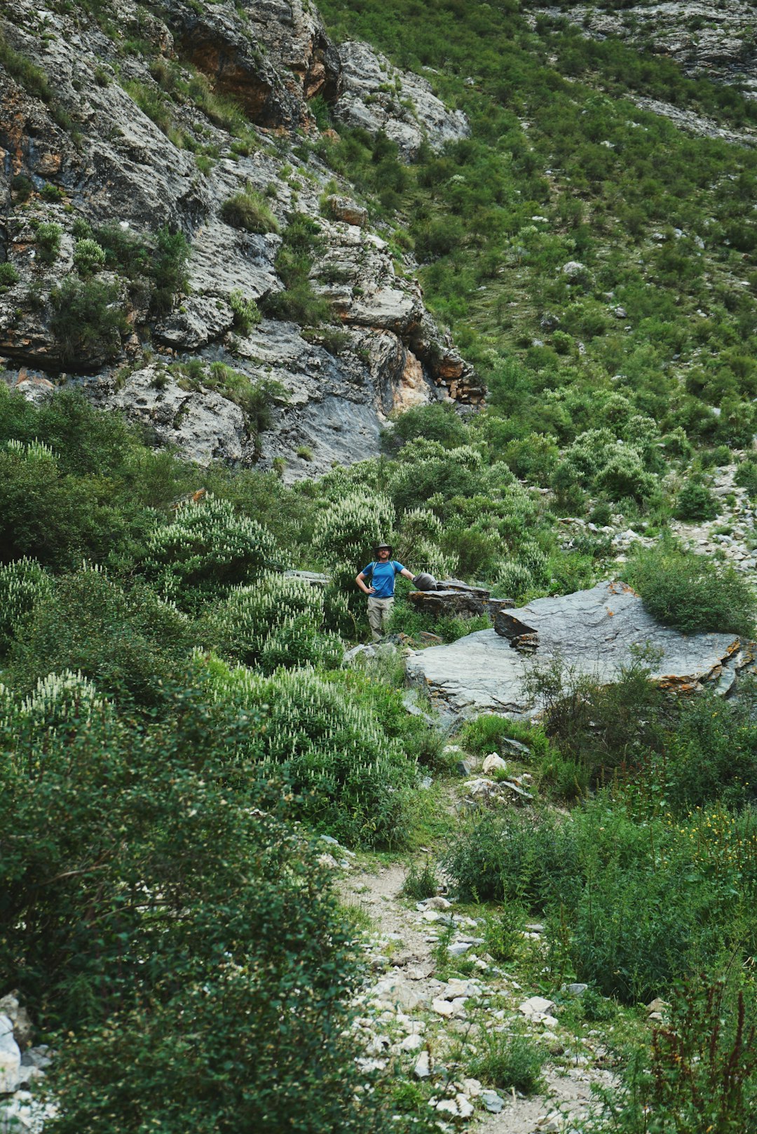 Échelles D'Observation En Milieu Naturel