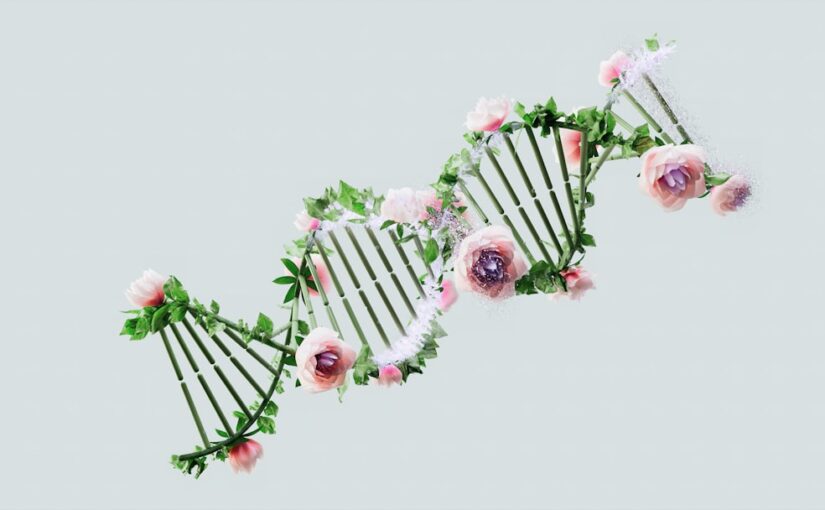 Epigenetika A ADHD