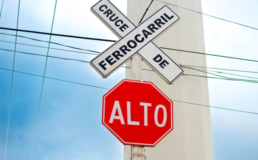 Fatores De Risco Perinatais Associados A Traços