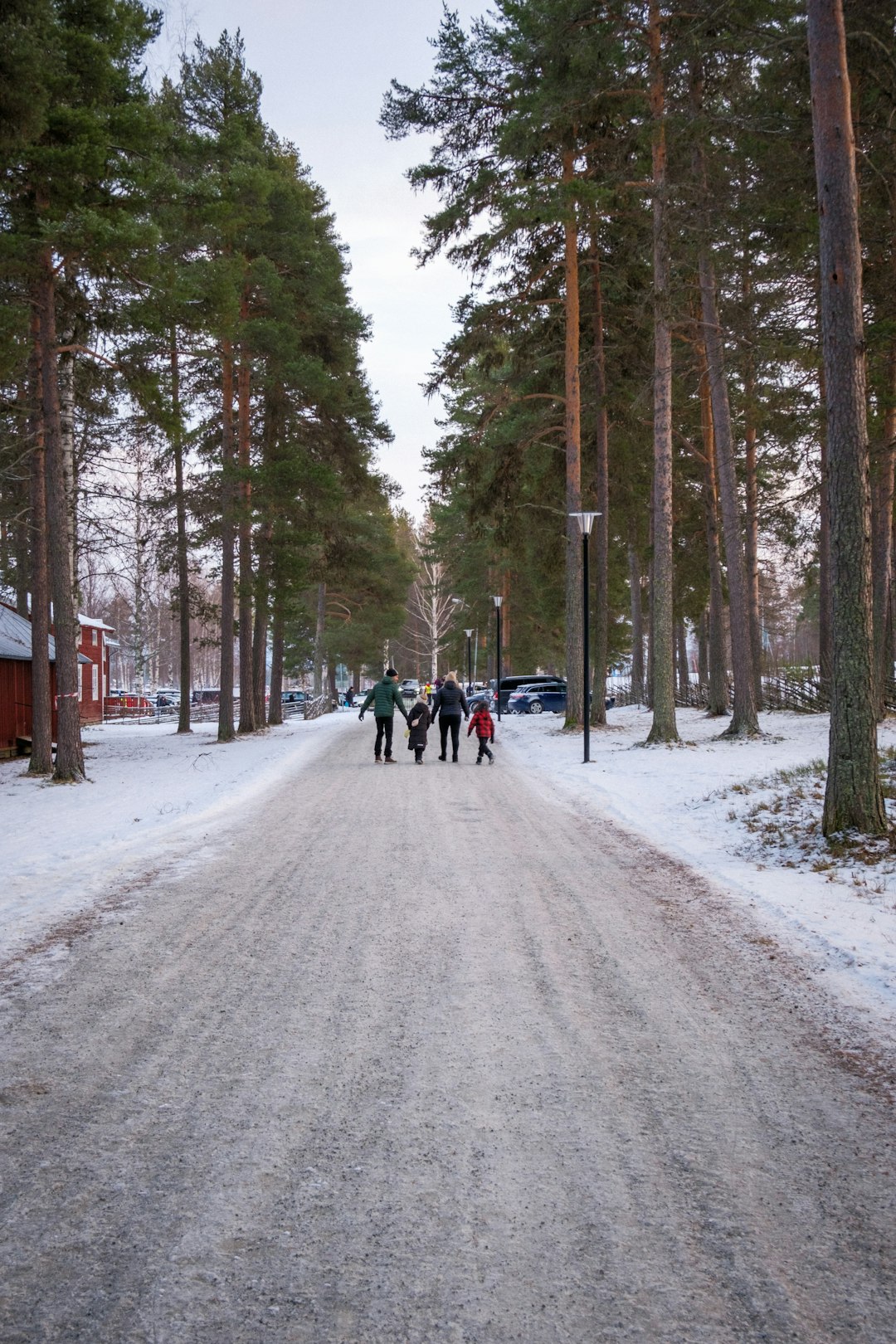 Interventioiden Sopeuttaminen Aikuisiän Tarpeisiin