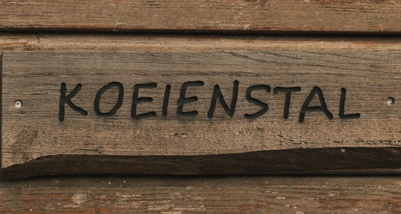 Kognitive Forskel Mønstre Ved Komorbiditet