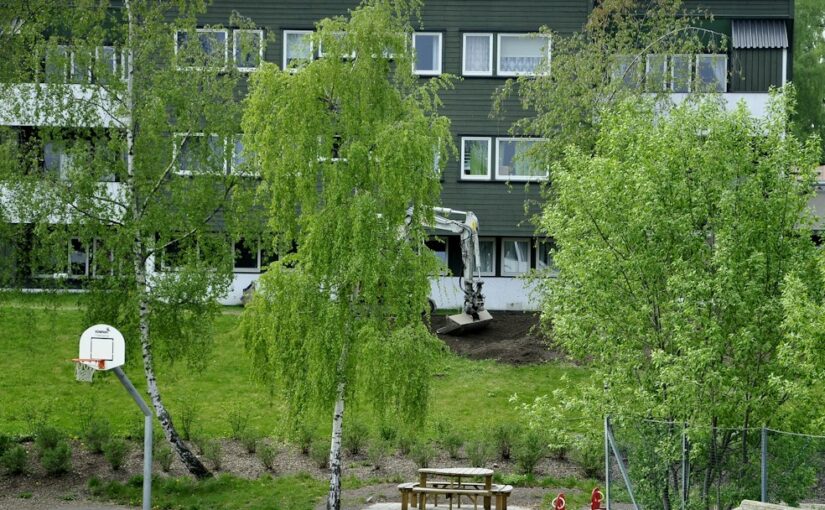 Lekterapiens Rolle I Tidlig Intervensjon